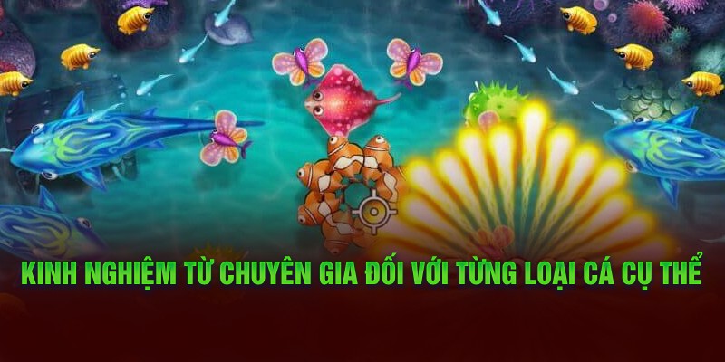 Kinh nghiệm từ chuyên gia đối với từng loại cá cụ thể